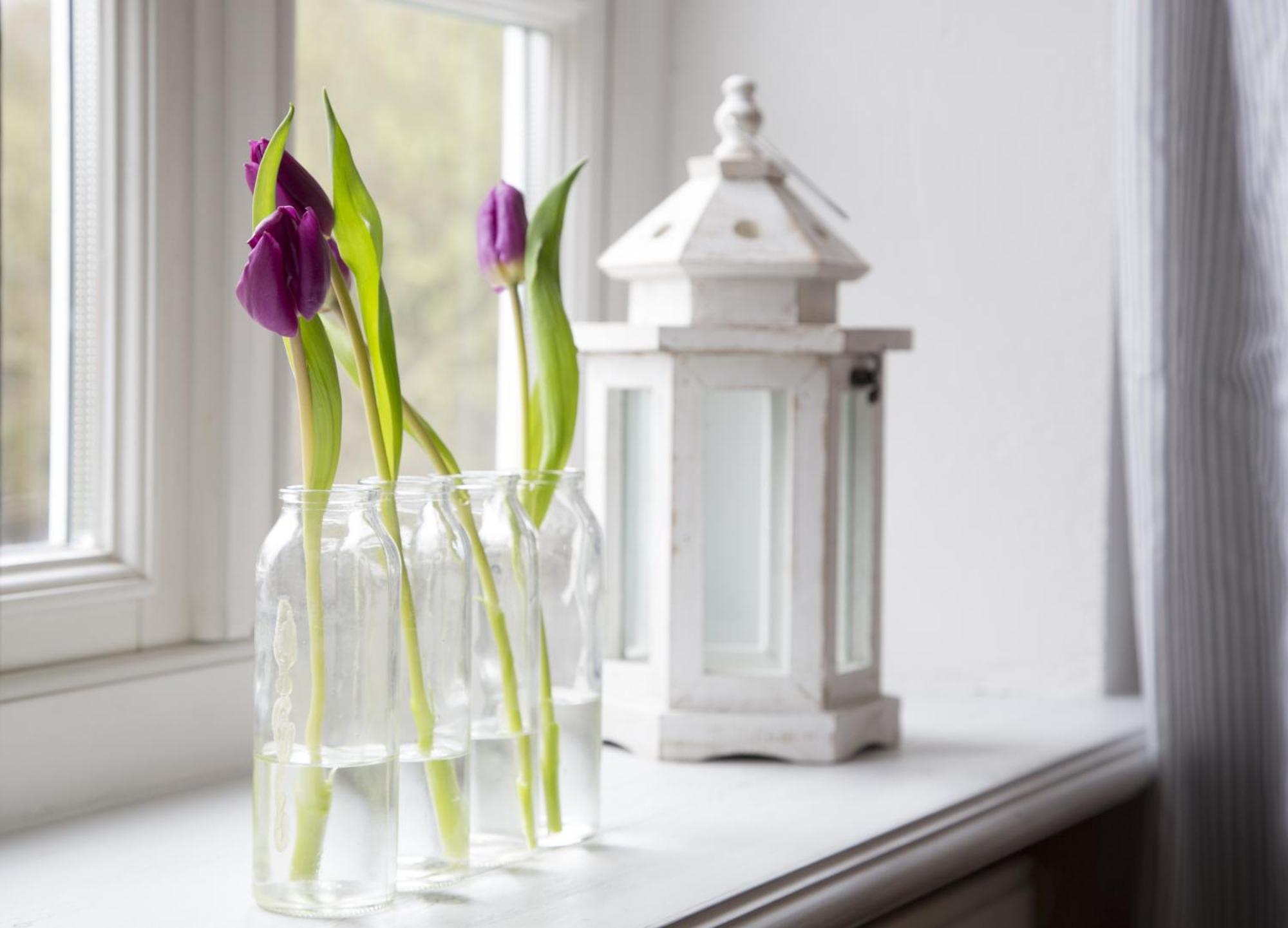 Ferienhaeuser Im Sylter Gartenweg Phòng bức ảnh